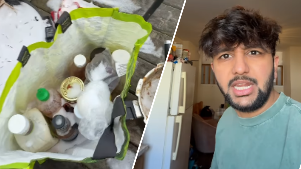 Desi Jugaad in Canada: Gujarati Man's Balcony Becomes a Fridge, Beats High Bills