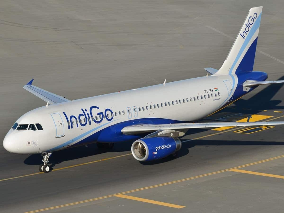 indigo4205994110895162424